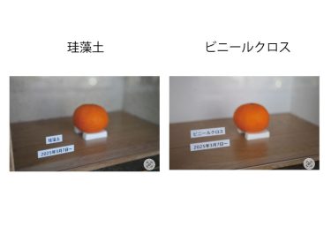 みかんで検証してみた｜珪藻土の調湿・消臭効果【福岡の珪藻土施工・販売】